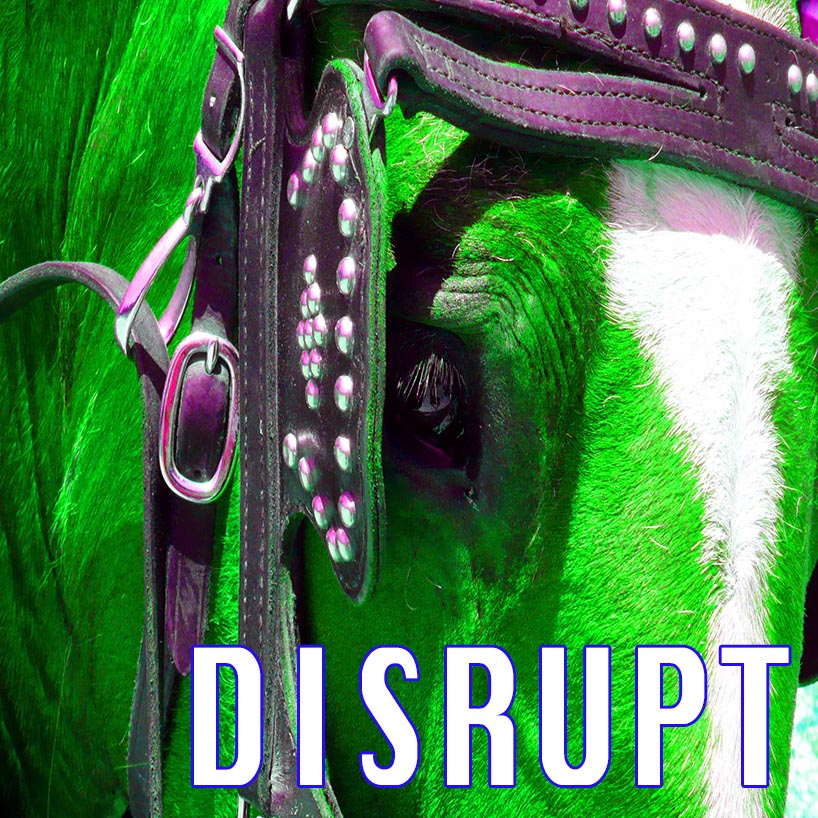 Oakley X_Stream Ride