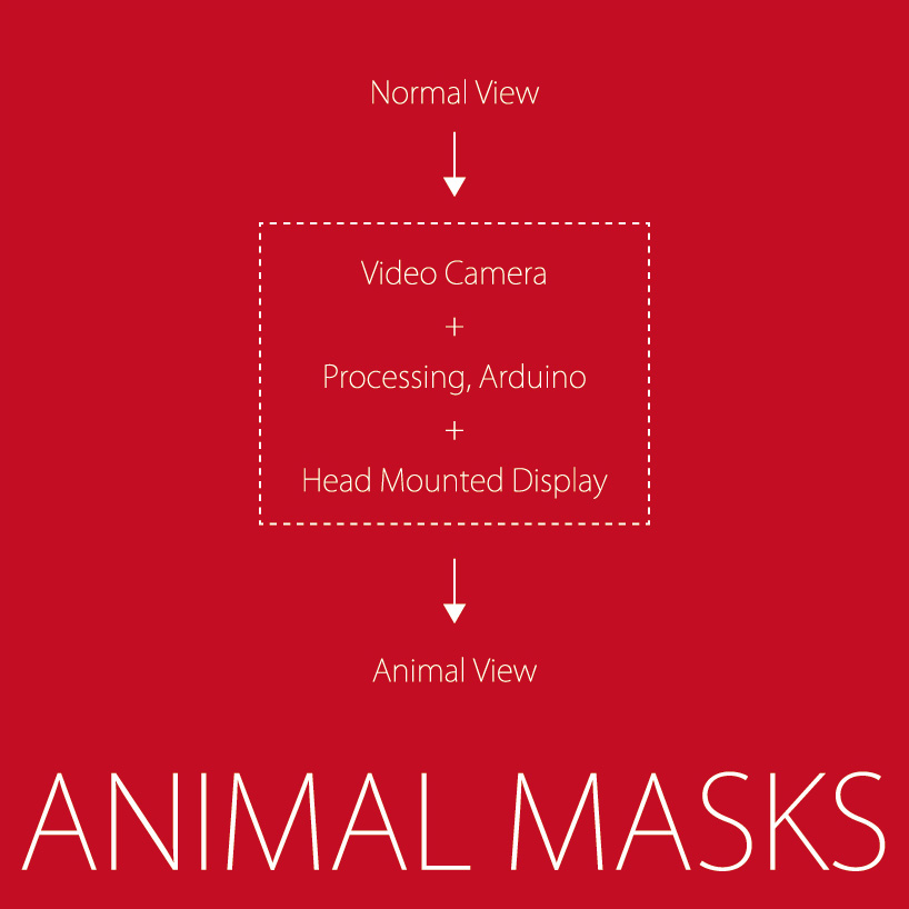 ANIMAL MASKS