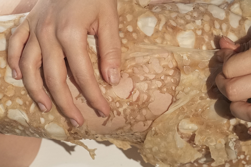 Synthetic Protection: Biointelligent Membranes