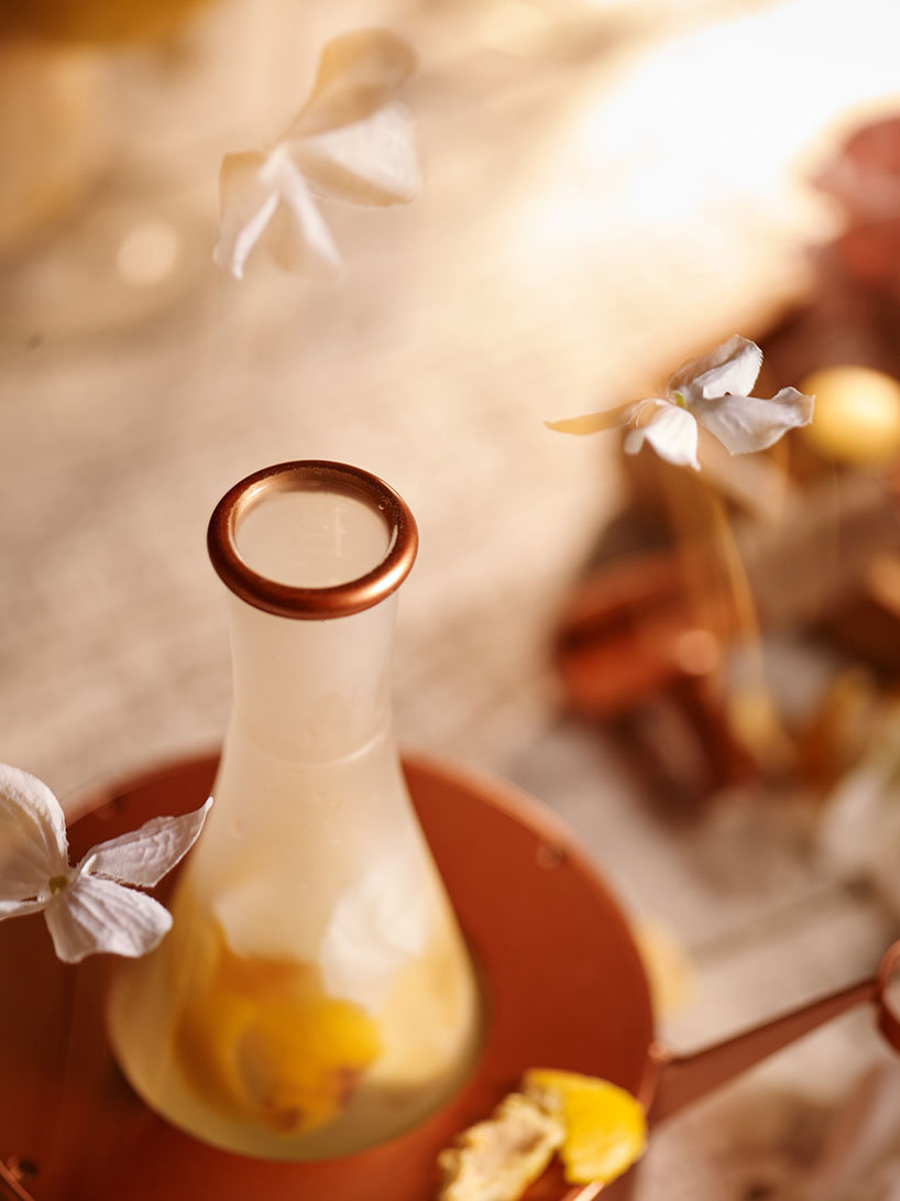 Homemade Goodie - Home Hydrosols Extraction Machine