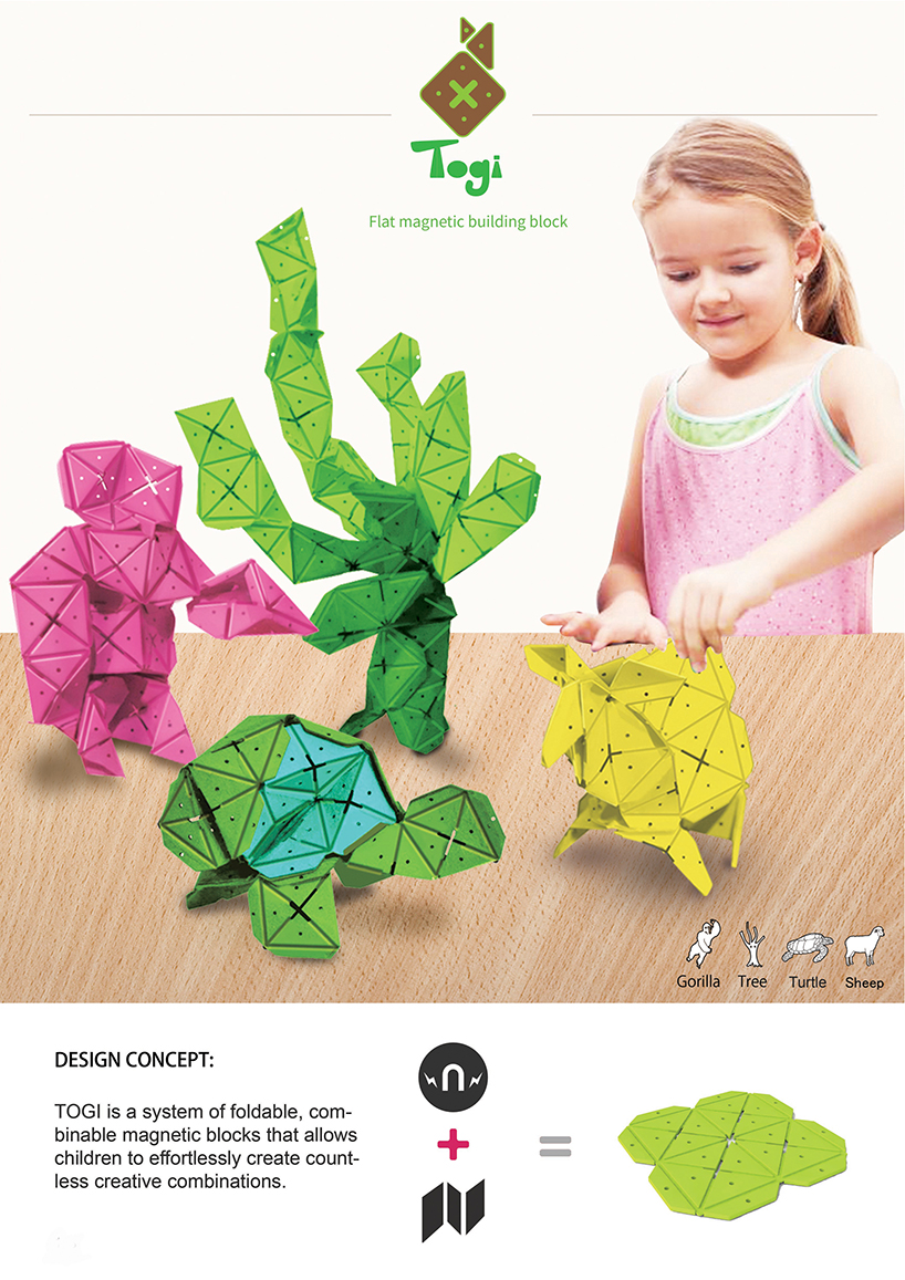 Togi Flat Magnetic Building Blocks