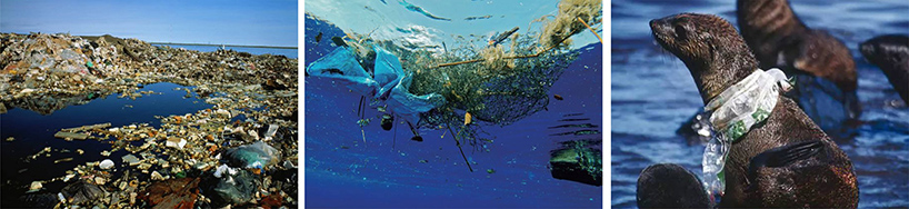 Litter Compression Ship