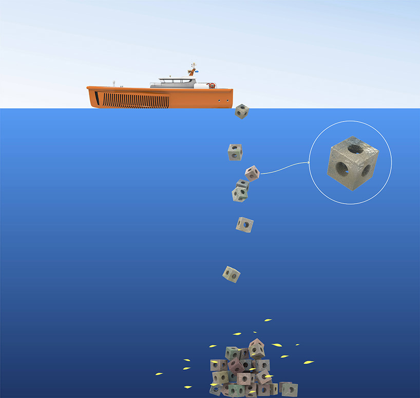 Litter Compression Ship