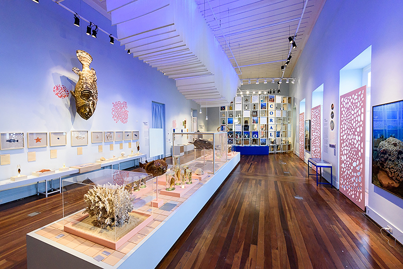 expedition coral exhibition in the national museum in rio de janeiro displays embroidered sea creatures designboom