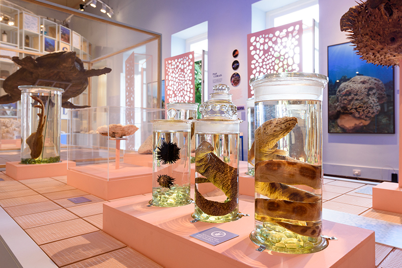 expedition coral: exhibition at the national museum in rio de janeiro displays embroidered sea creatures