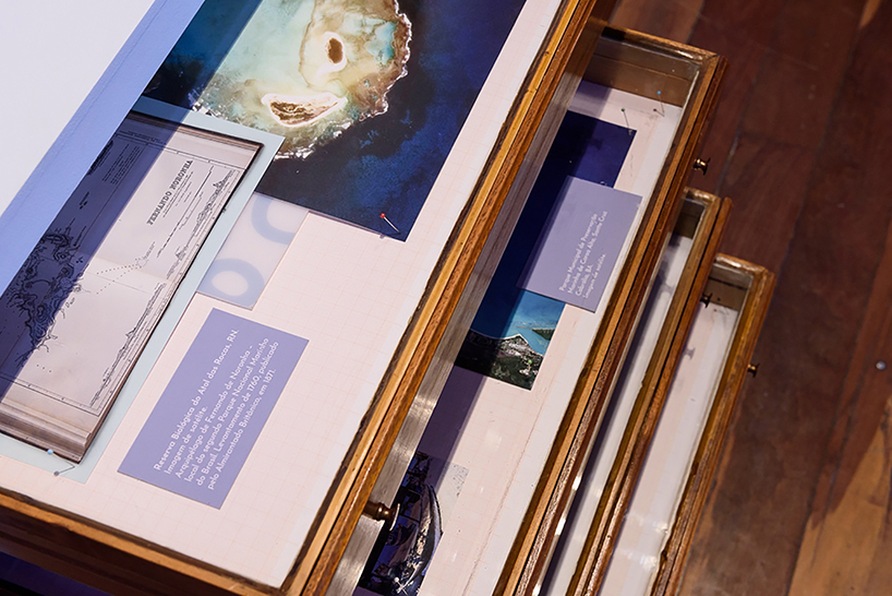 expedition coral: exhibition at the national museum in rio de janeiro displays embroidered sea creatures