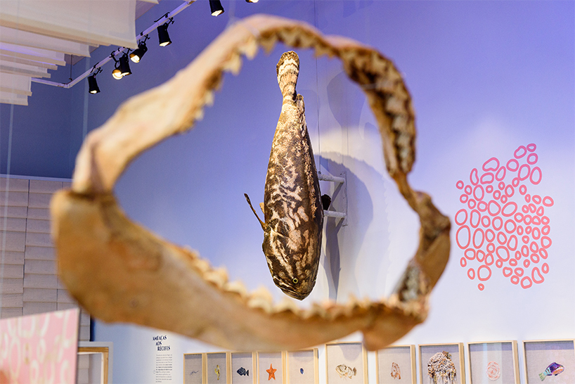 expedition coral: exhibition at the national museum in rio de janeiro displays embroidered sea creatures
