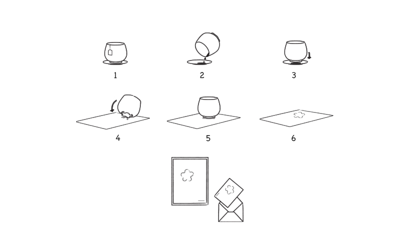 Memories of Matsuyama