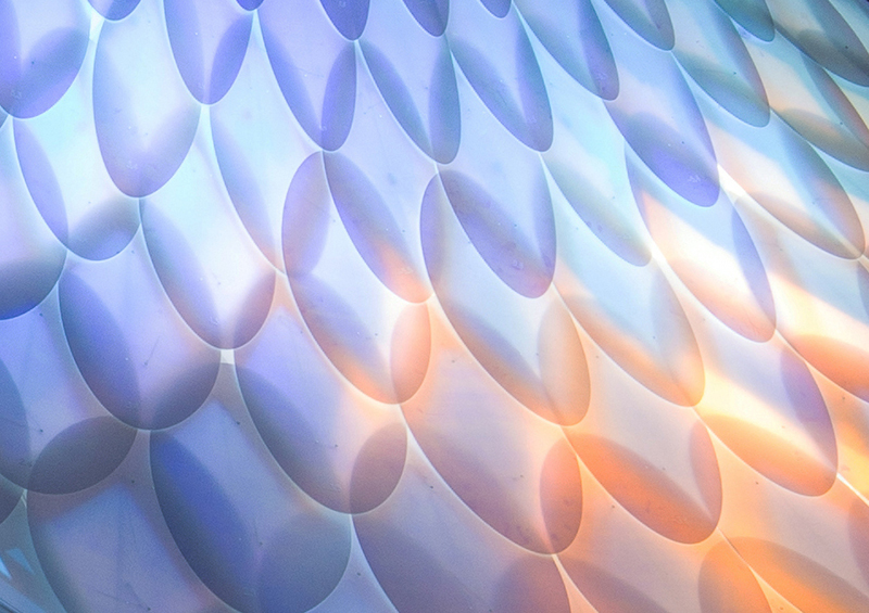 ResoNet Bridge Pavilion