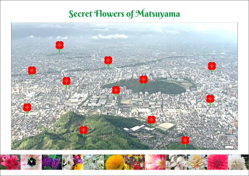Secret Flowers of Matsuyama