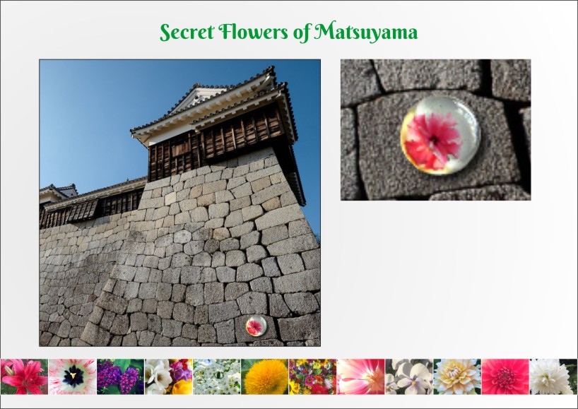 Secret Flowers of Matsuyama