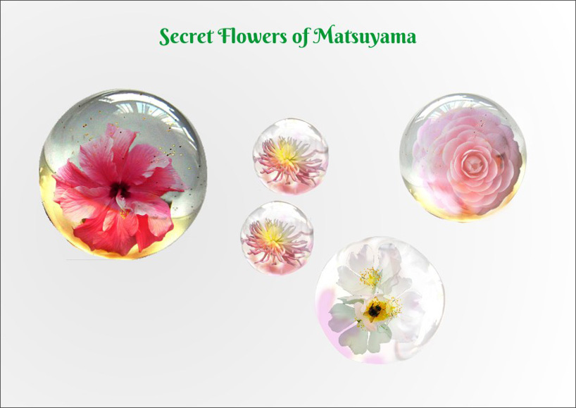 Secret Flowers of Matsuyama