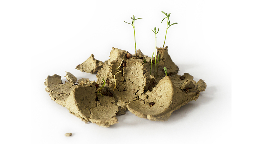 george-bosnas-biopack-sustainable-packaging-06-14-2019-designboom