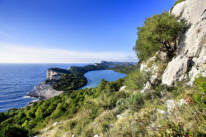 villa nai 3.3 is a luxury hotel carved into a hill under a hundred-year-old olive orchard