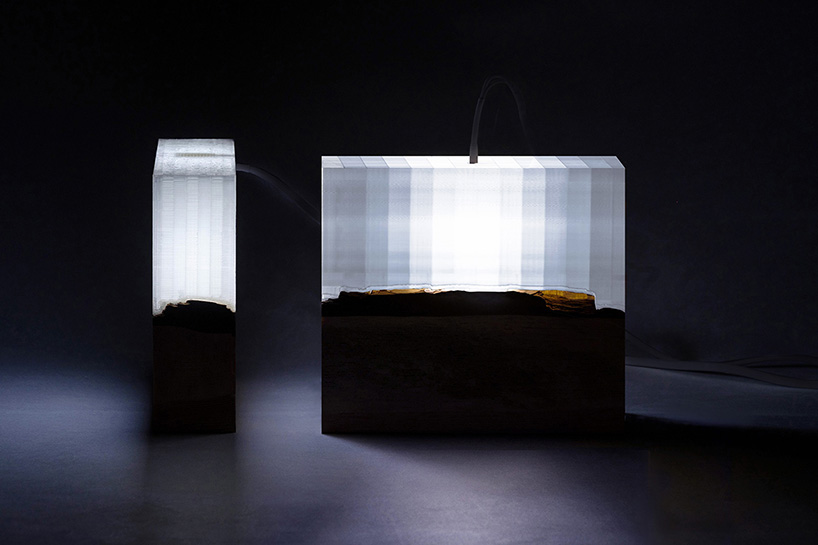 anna strupinskaya + alexey ivashkevich's 3D printed light piece unites nature and technology