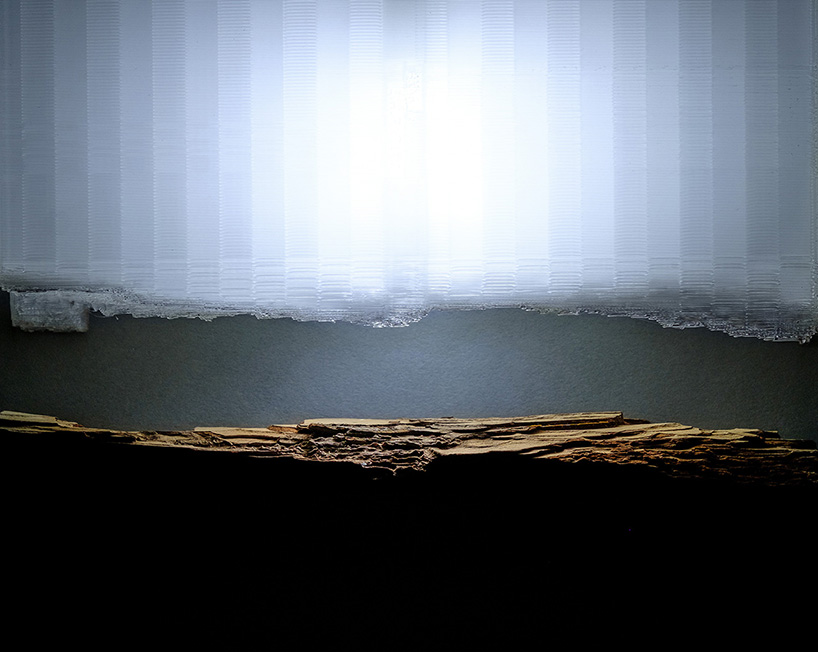 anna strupinskaya + alexey ivashkevich's 3D printed light piece unites nature and technology