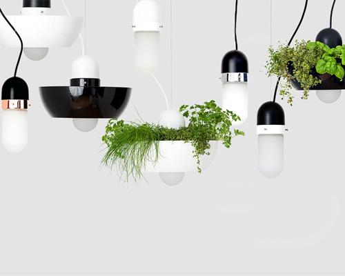 versatile well light by object interface illuminates suspended vegetation