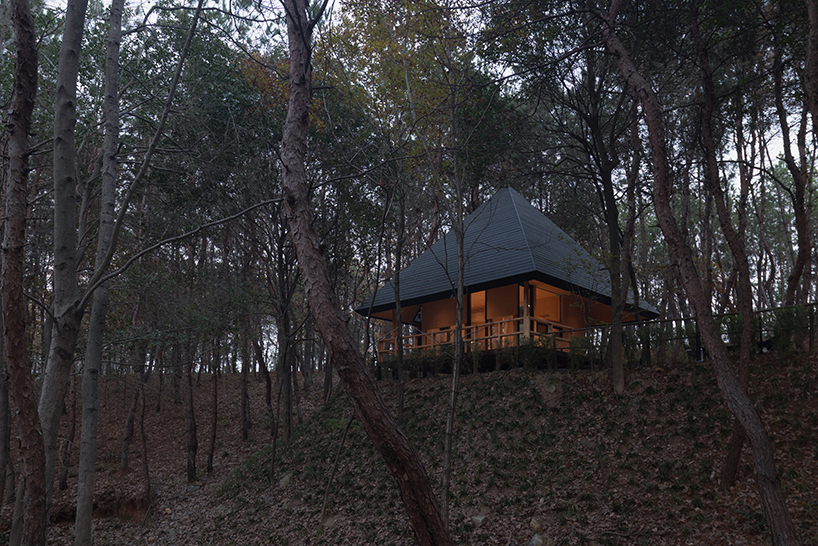 A pyramid gable roof atop a log cabin in a Chinese woodland