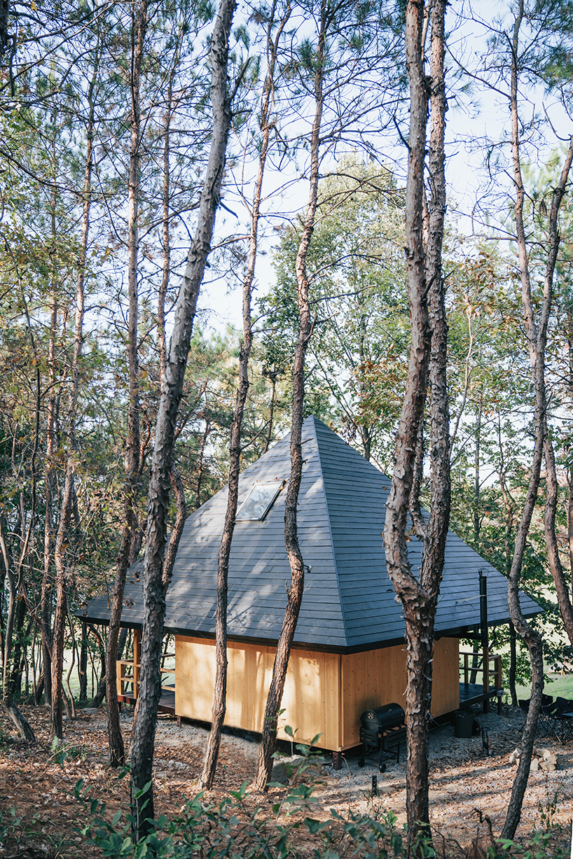 A pyramid gable roof atop a log cabin in a Chinese woodland