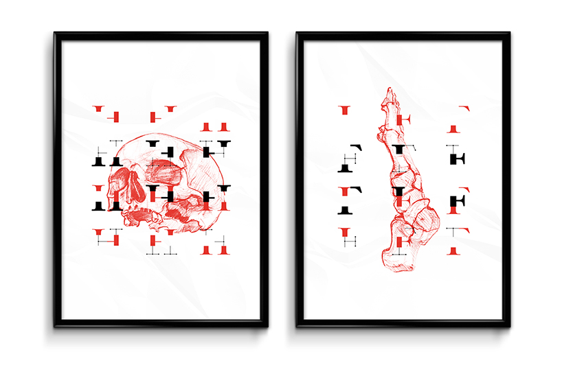 HOOH studio & norbert mayer create J.21 anatomical typeface