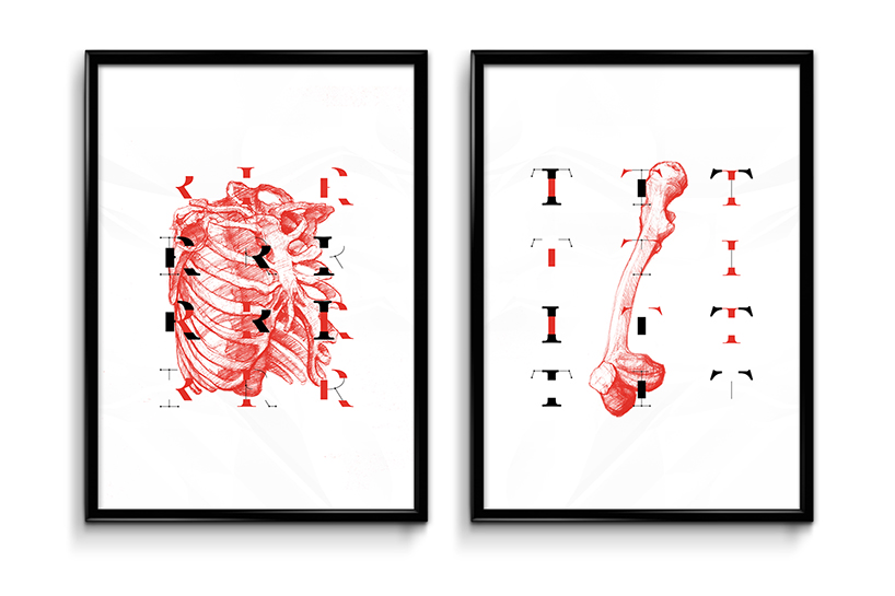 HOOH studio & norbert mayer create J.21 anatomical typeface