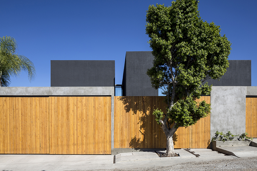 t38studio tlp tijuana designboom t38studio tlp tijuana designboom