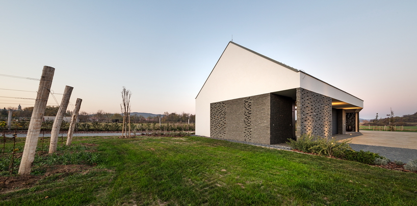 the winemaker's house by SAGRA architects builds on local traditions in rural hungary