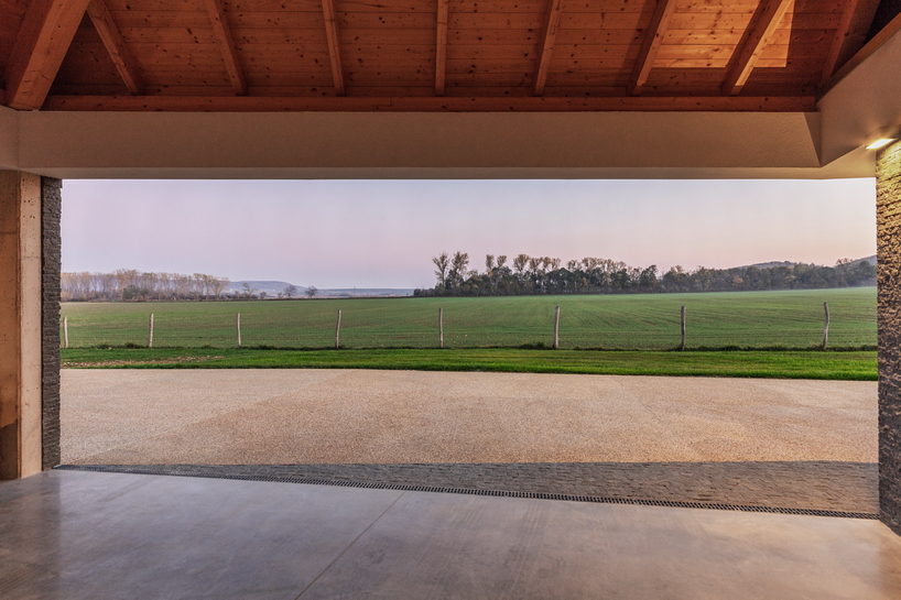 the winemaker's house by SAGRA architects builds on local traditions in rural hungary