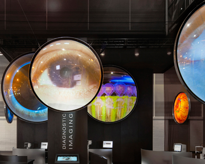 heidelberg engineering exhibit program by mauk design