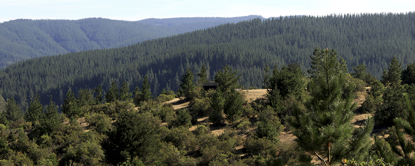 pablo rojas bottner builds guallecos tactical observation deck