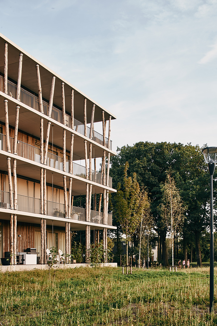 a series of tree trunk columns runs along residential building's facade in the netherlands