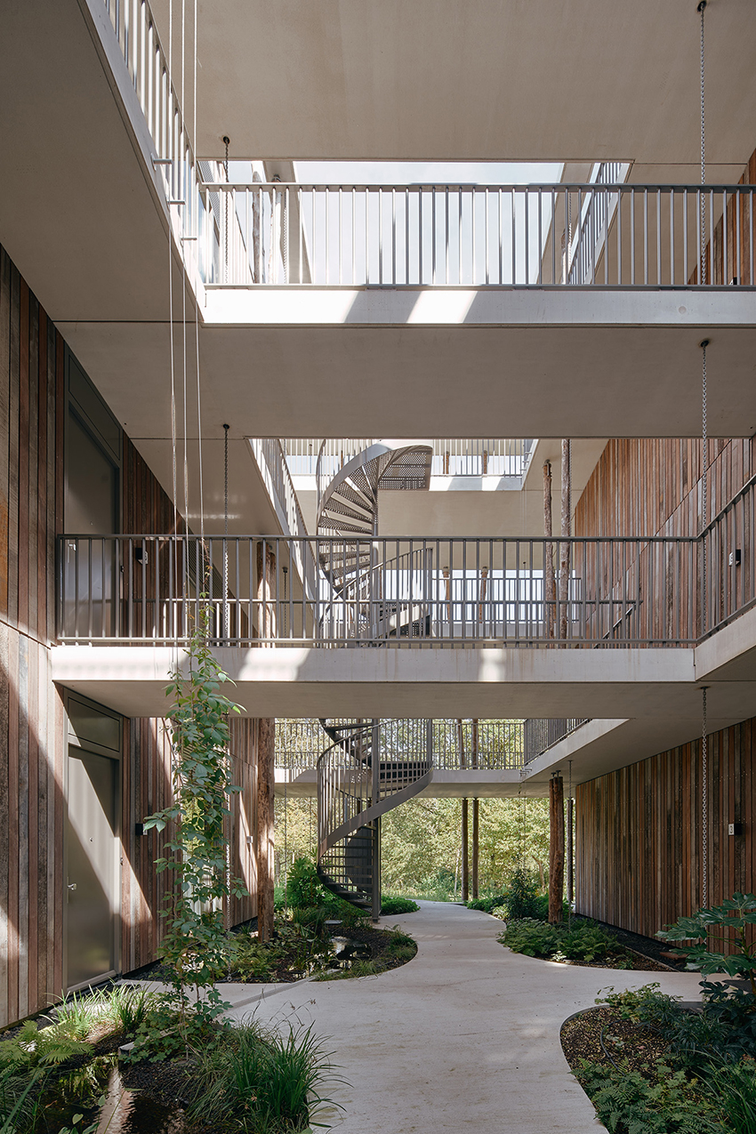 a series of tree trunk columns runs along residential building's facade in the netherlands