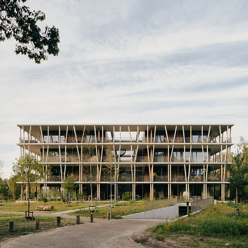 a series of tree trunk columns runs along residential building's facade in the netherlands
