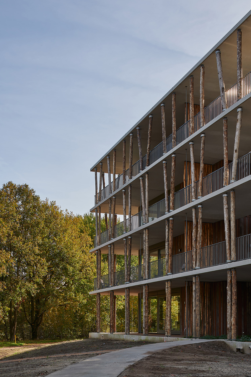 a series of tree trunk columns runs along residential building's facade in the netherlands