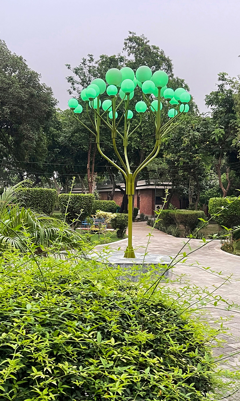 luminous globes extend from branched metal tree installation in pakistan - 6