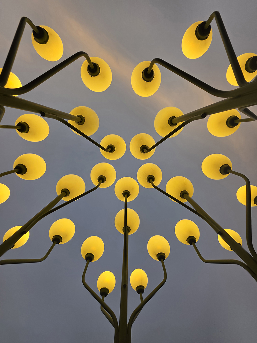 luminous globes extend from branched metal tree installation in pakistan - 8