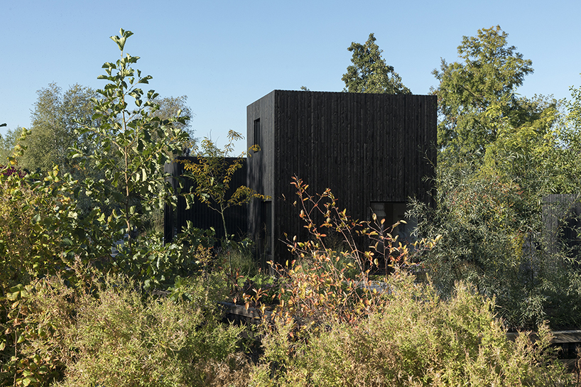 this tiny holiday home in the netherlands merges into surrounding nature