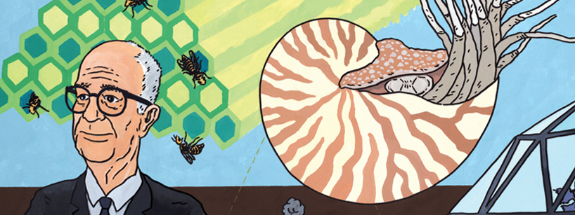 entrippy   interchangeable artwork that explores culture and evolution