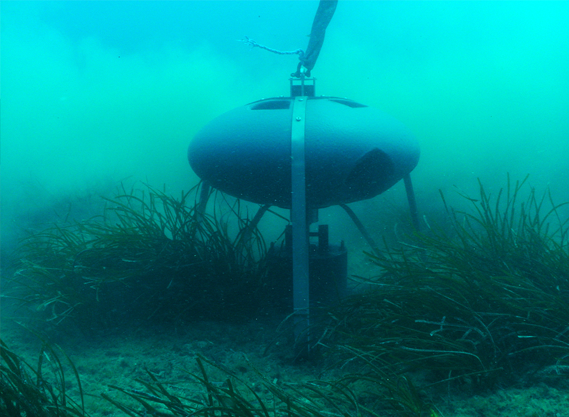 oceanographic cage by agency 360