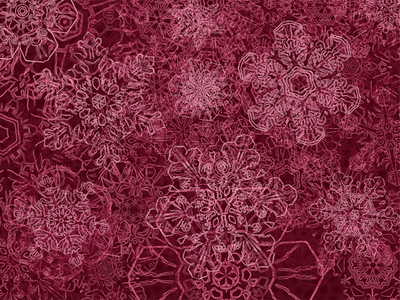 snowflakes app by hado labs for iPad & iPhone