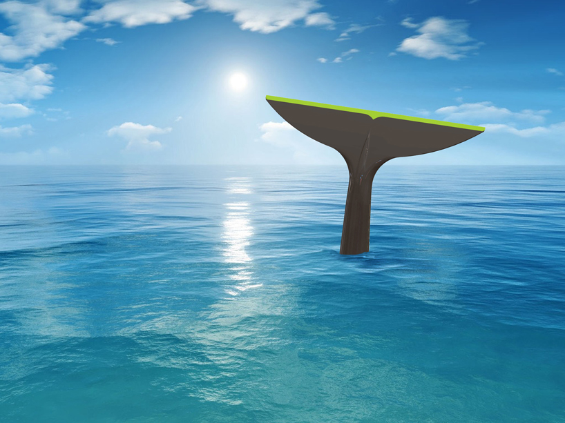 avihai shurin forms splash squeegee into whale's tail for monkey business
