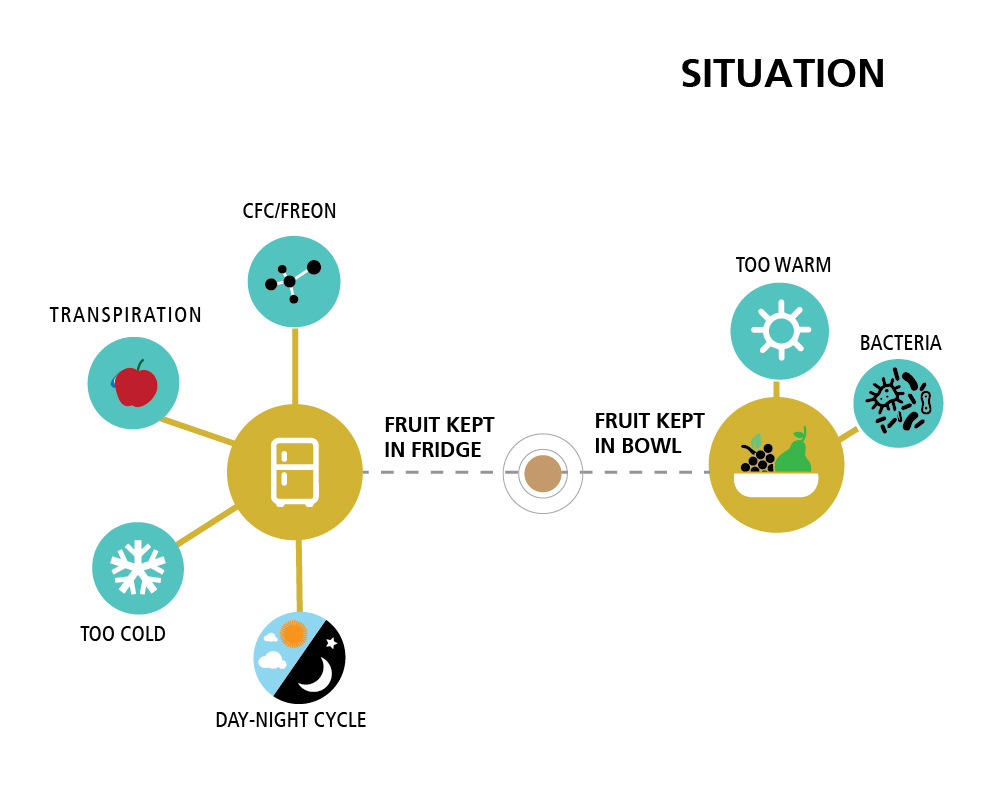 Bhoomi: Sustainable Fruit Storage