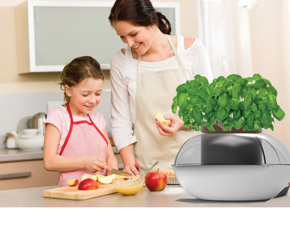 Bhoomi: Sustainable Fruit Storage