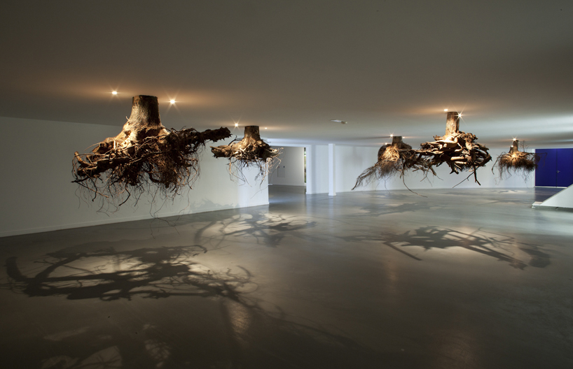 tree roots emerge from the ceiling in an installation by giuseppe licari