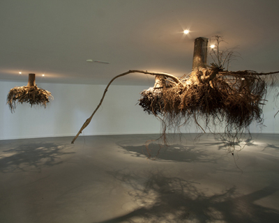 tree roots emerge from the ceiling in an installation by giuseppe licari