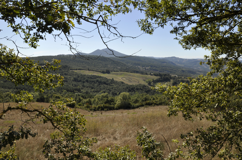 giuseppe licari cuts registered trademark into the tuscan countryside