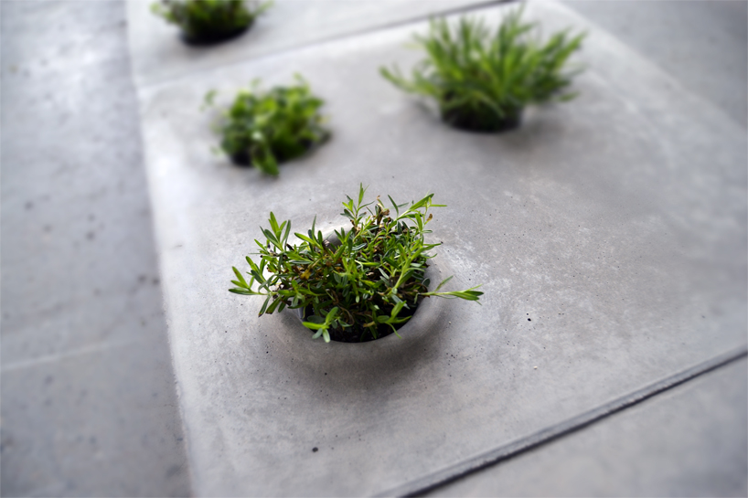 grey to green vegetation stones by caroline brahme