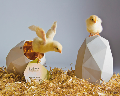 Ei student award trophy by hansel schloupt + oriol castellar