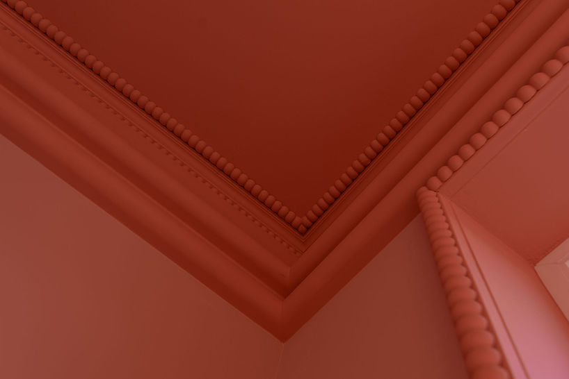 bez rodzynek cake studio 11