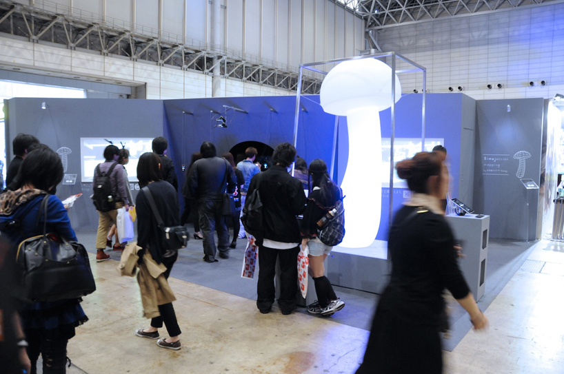 takayuki rokutan: simejection mapping onto shimeji mushrooms 